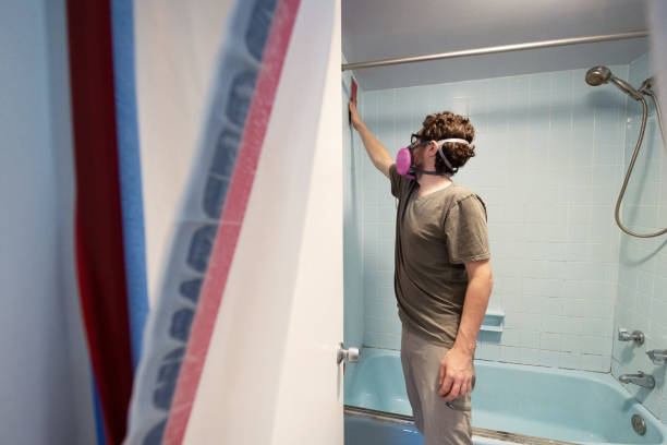 Best Mold Removal for HVAC Installations  in Worthington Hills, KY