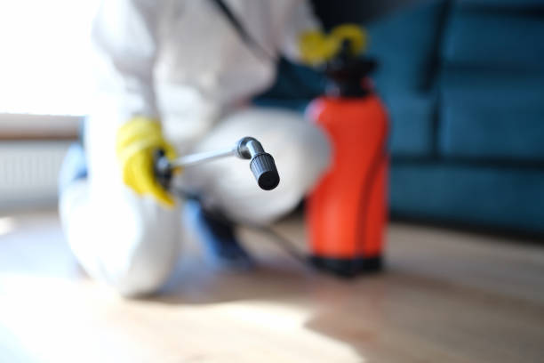 Best HVAC Mold Inspection and Cleaning  in Worthington Hills, KY