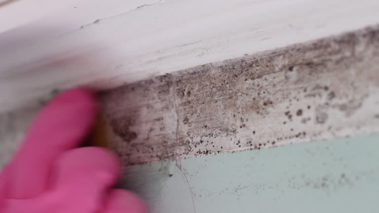 Best Real Estate Mold Inspection  in Worthington Hills, KY